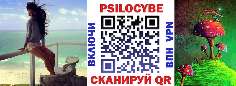 Купить  Дыгулыбгей  Псилоцибиновые грибы MAGIC MUSHROOMS 